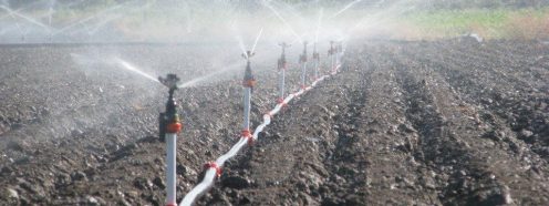 Pipelife-sprinkler-irrigation-field