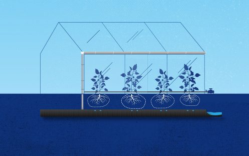 Illustration irrigation in agriculture